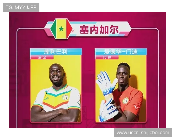 全面解析世界杯比赛赛程，助你提前规划观赛时间安排