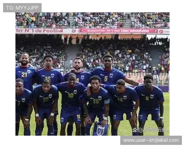 2026年世界杯举办国家的经济影响、旅游发展及对当地居民的影响分析